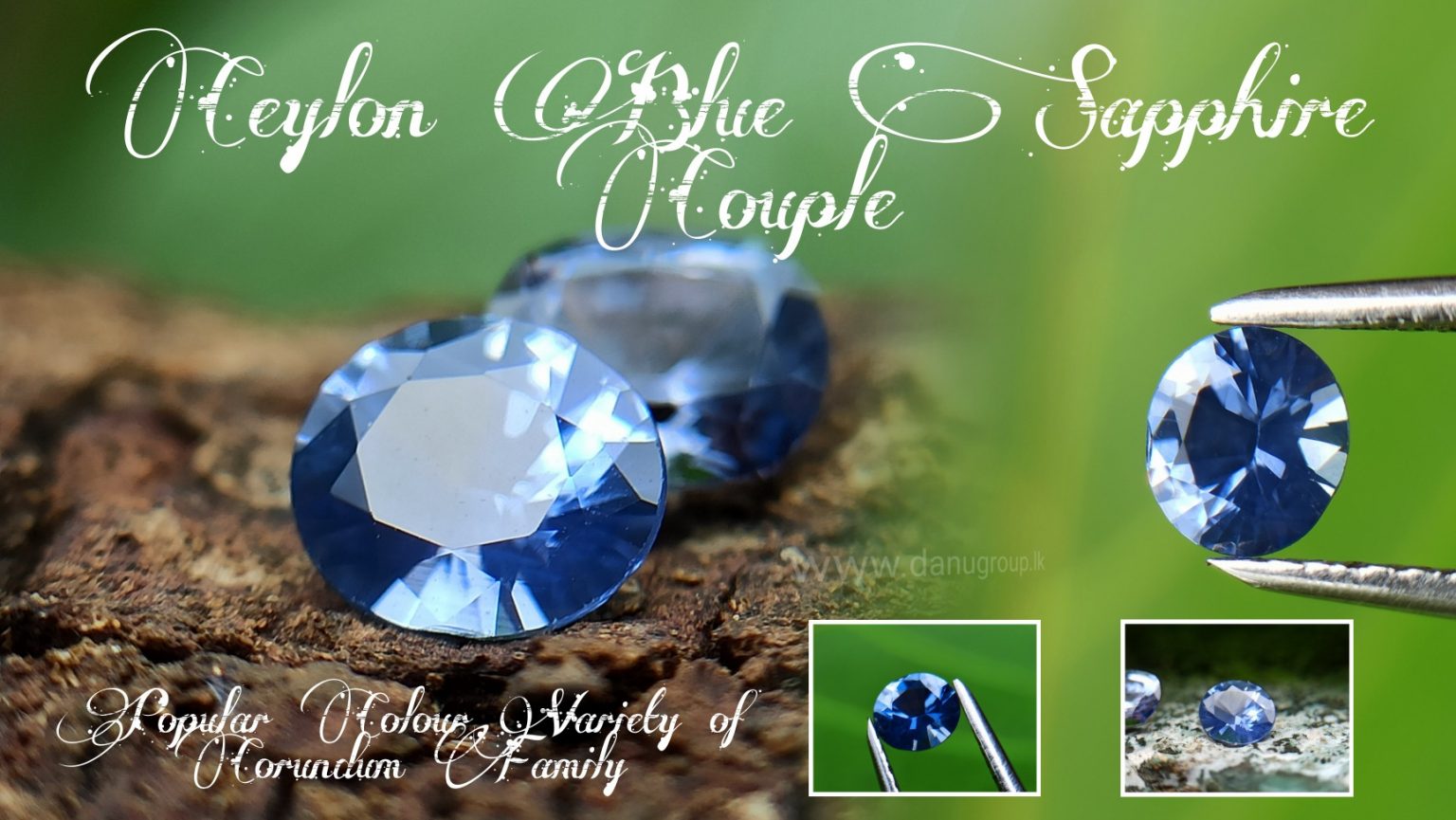 Ceylon Natural Blue Sapphire Couple from Danu Group Gemstones Collection