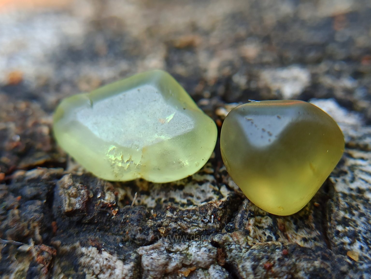 Ceylon Natural Chrysoberyl Alluvial Crystal Couple from Danu Group Gemstones Collection