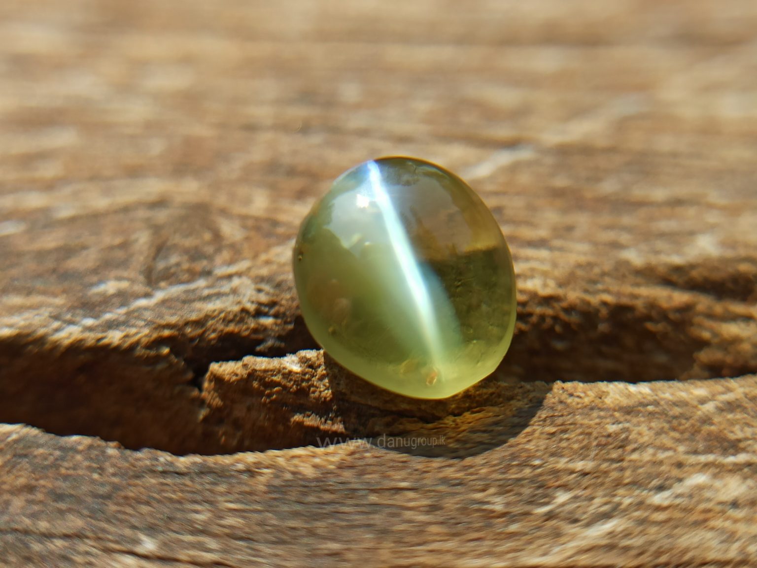 Natural Apple Green Chrysoberyl Cats Eye - Danu Group Gemstones Collection