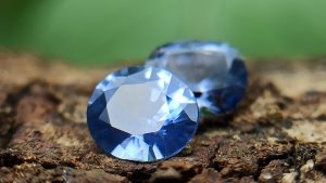 Ceylon Natural Blue Sapphire Couple from Danu Group Gemstones Collection