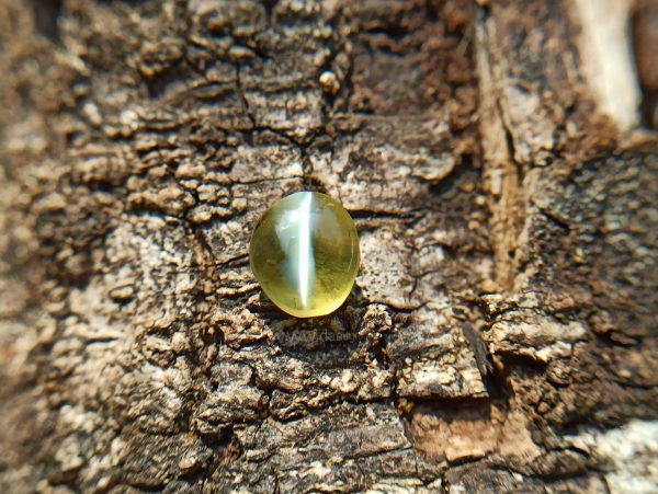 Natural Apple Green Chrysoberyl Cats Eye - Danu Group Gemstones Collection