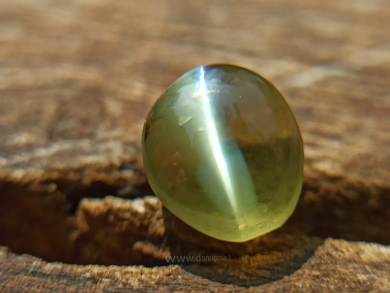 Natural Apple Green Chrysoberyl Cats Eye - Danu Group Gemstones Collection