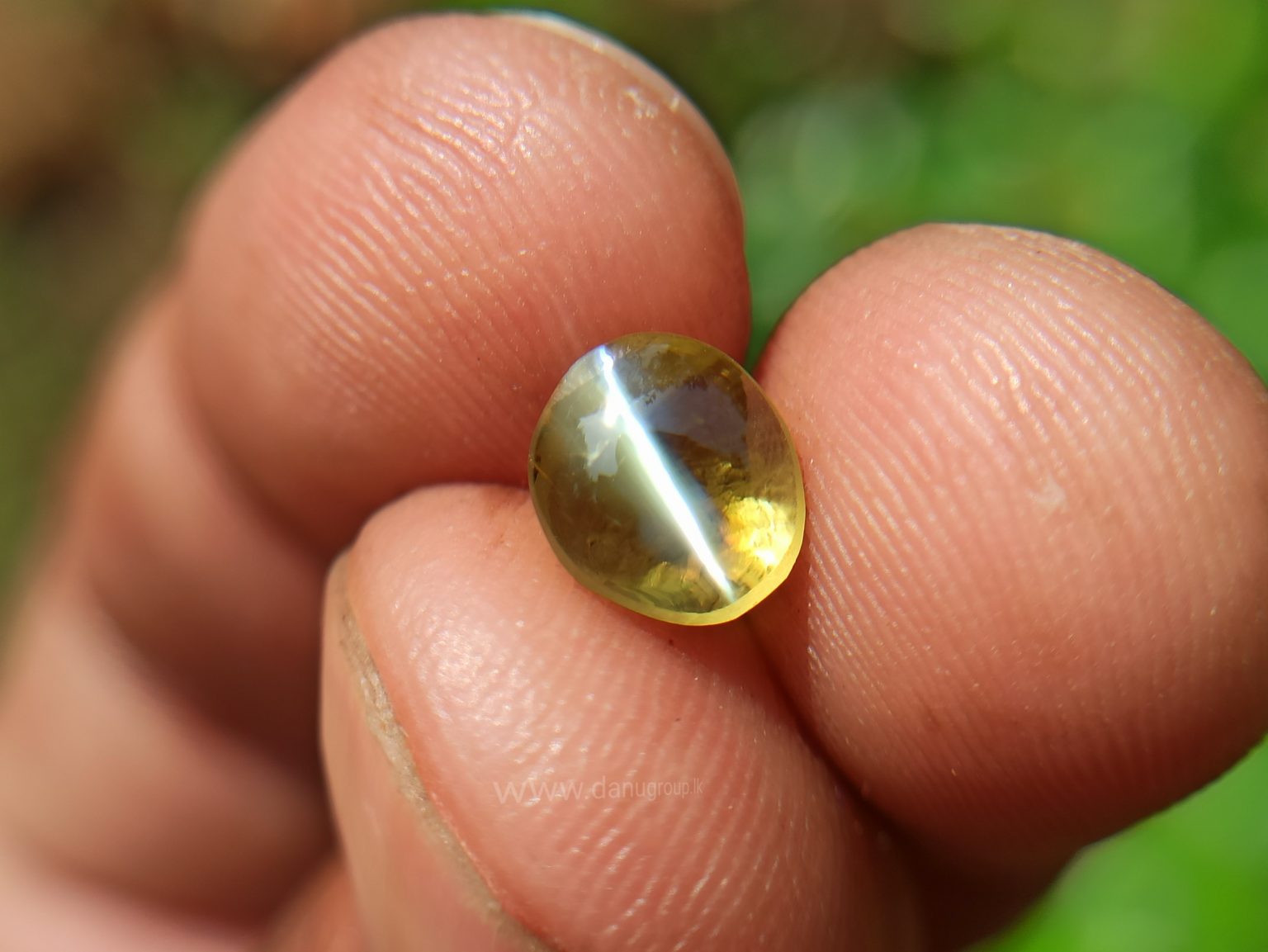 Natural Apple Green Chrysoberyl Cats Eye - Danu Group Gemstones Collection