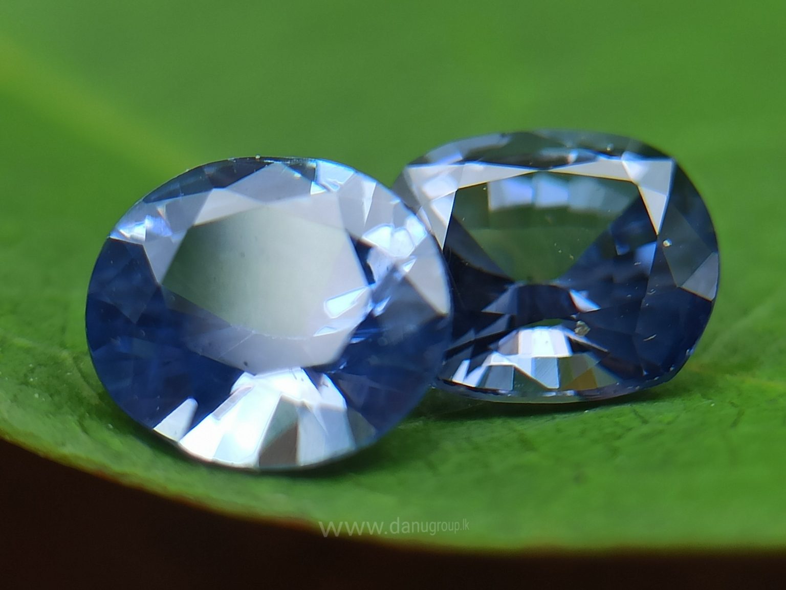 Ceylon Natural Blue Sapphire Couple from Danu Group Gemstones Collection