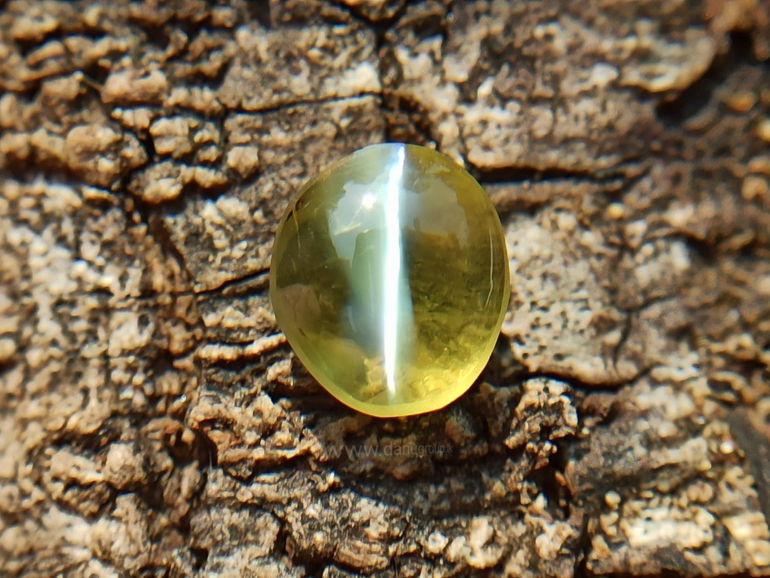 Natural Apple Green Chrysoberyl Cats Eye - Danu Group Gemstones Collection