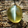 Natural Apple Green Chrysoberyl Cats Eye - Danu Group Gemstones Collection