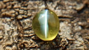 Natural Apple Green Chrysoberyl Cats Eye - Danu Group Gemstones Collection