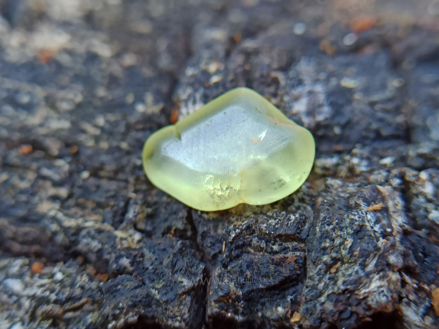 Ceylon Natural Chrysoberyl Alluvial Crystal Couple from Danu Group Gemstones Collection