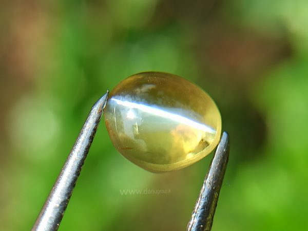 Natural Apple Green Chrysoberyl Cats Eye - Danu Group Gemstones Collection