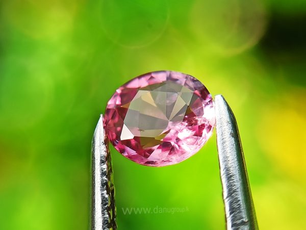 Ceylon Pink Sapphire Gemstones Lot danugroup.lk