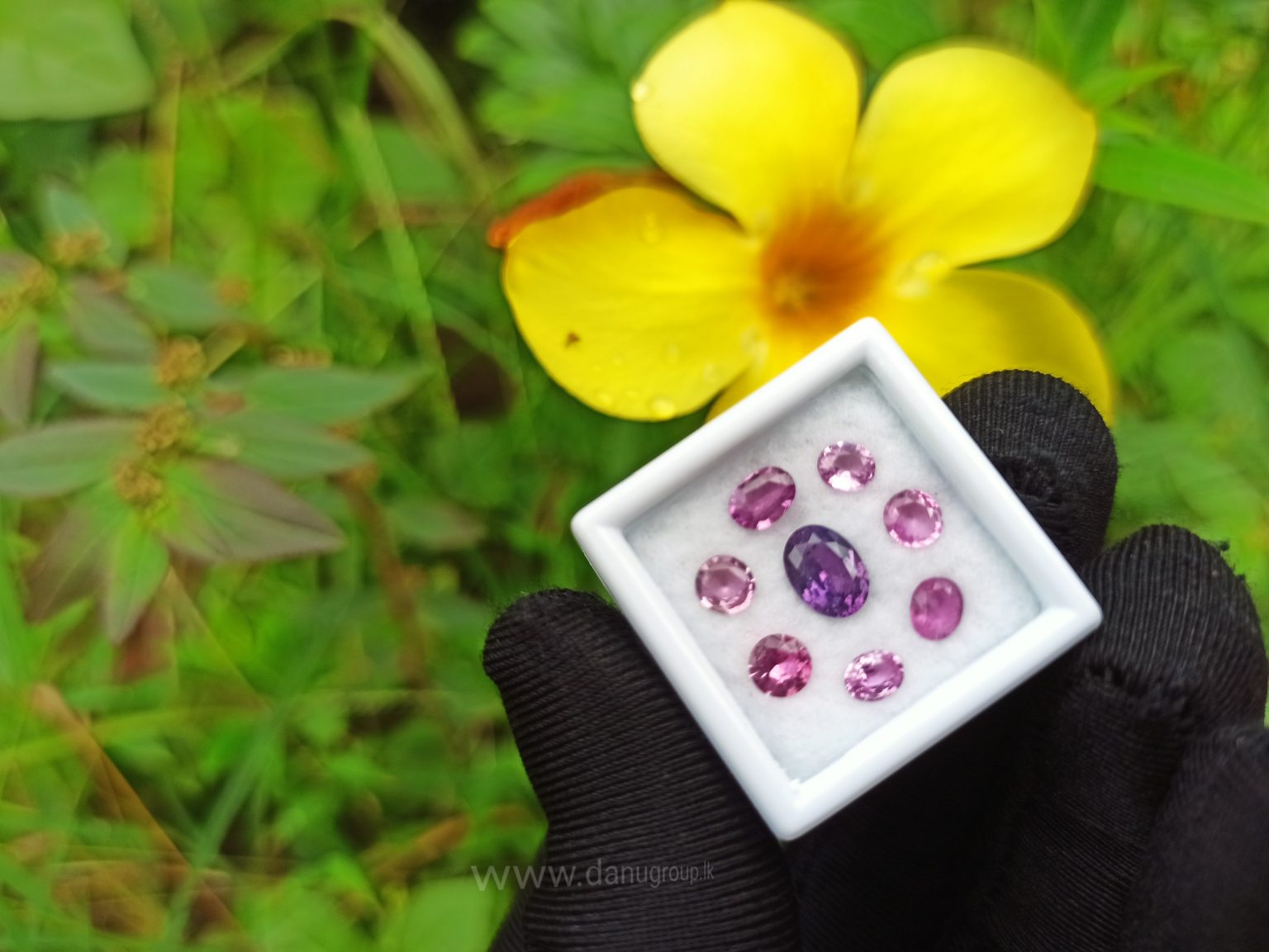 Ceylon Pink Sapphire Gemstones Lot danugroup.lk