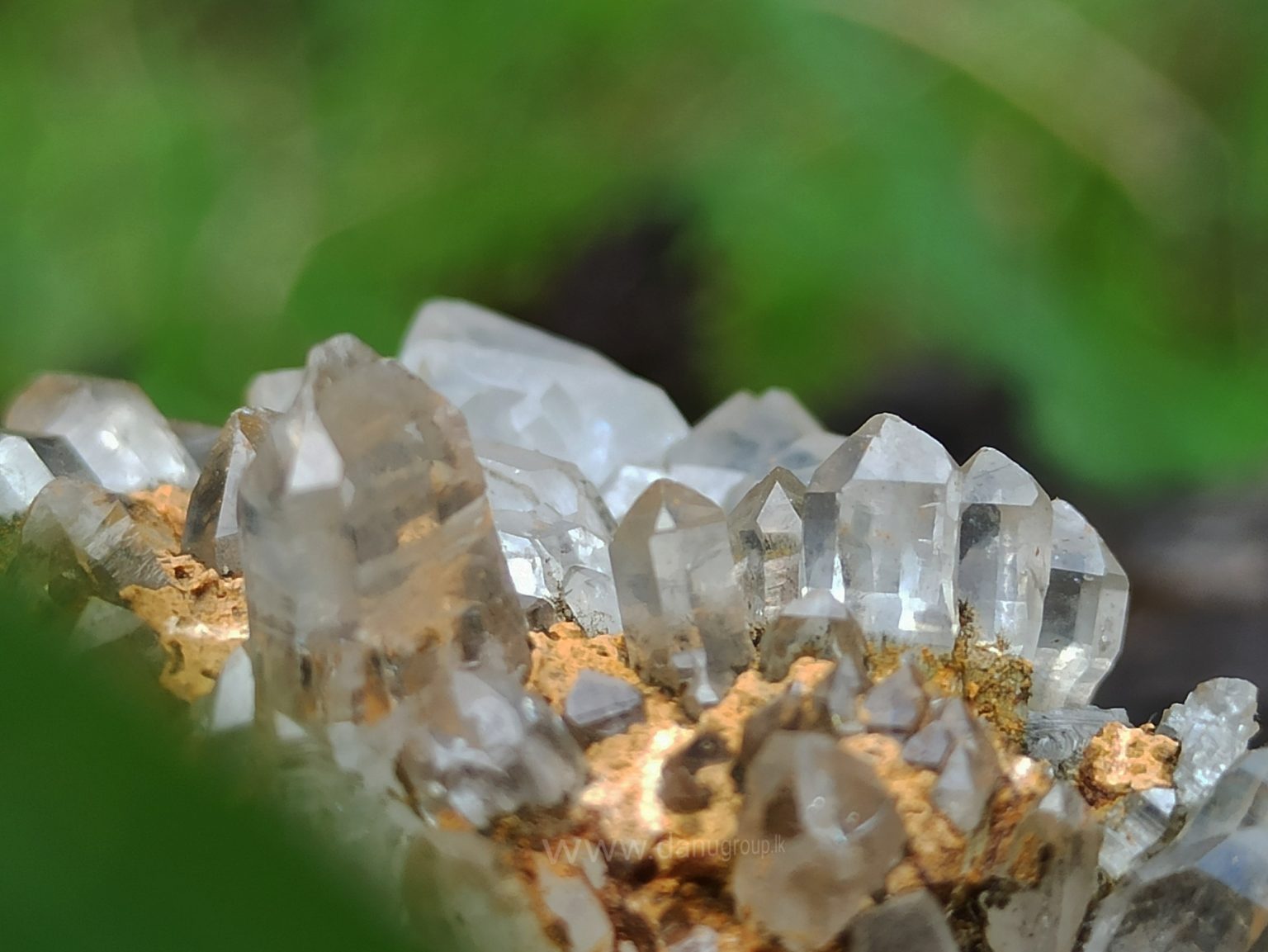 danugroup.lk - ceylon Natural Quartz Cluster fresh from the mining
