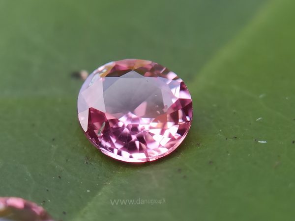 Ceylon Pink Sapphire Gemstones Lot danugroup.lk