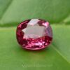 danugroup.lk - Natural Vietnamese Pink Spinel directly from the source Danu Group Gemstones
