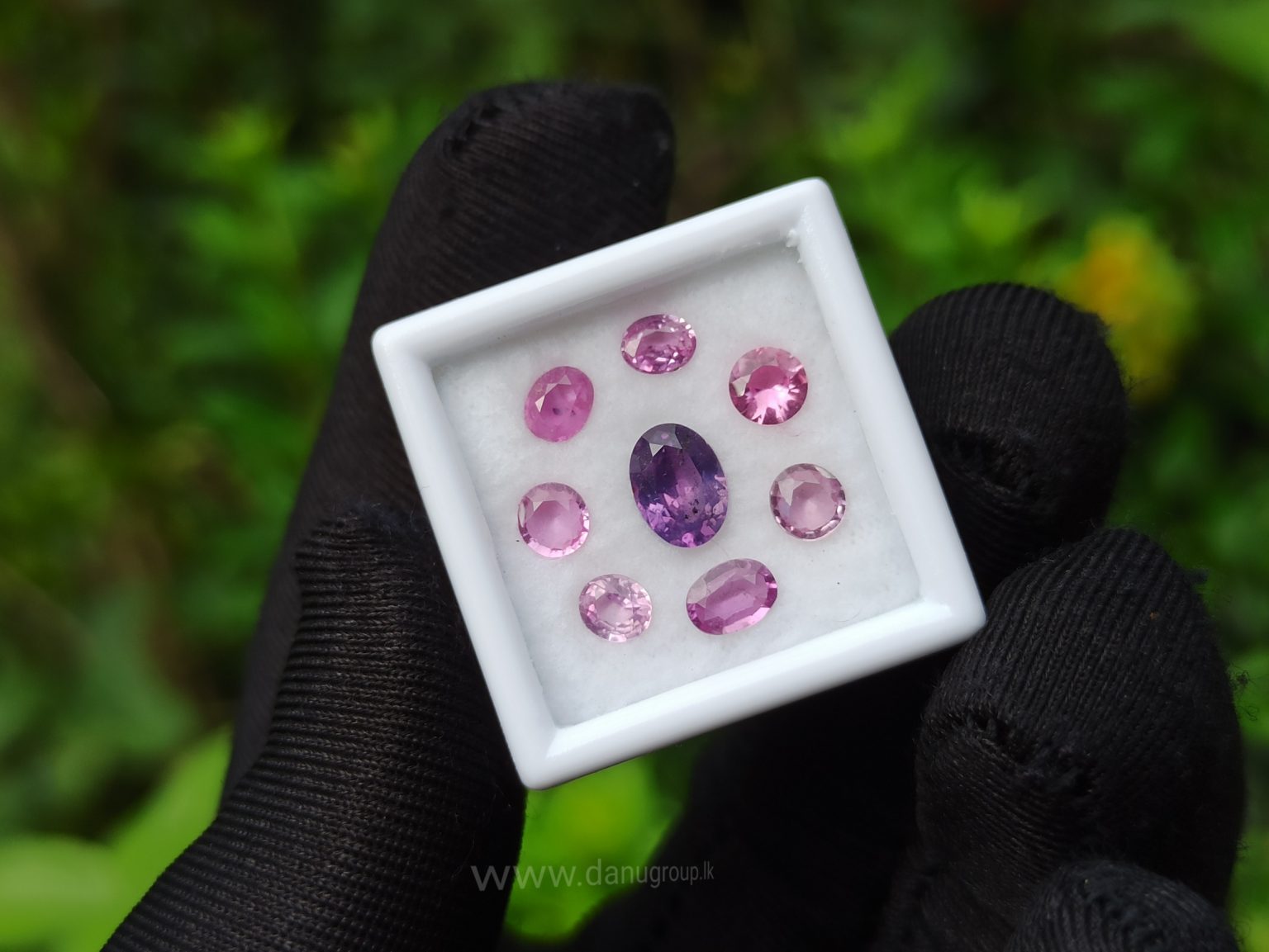 Ceylon Pink Sapphire Gemstones Lot danugroup.lk
