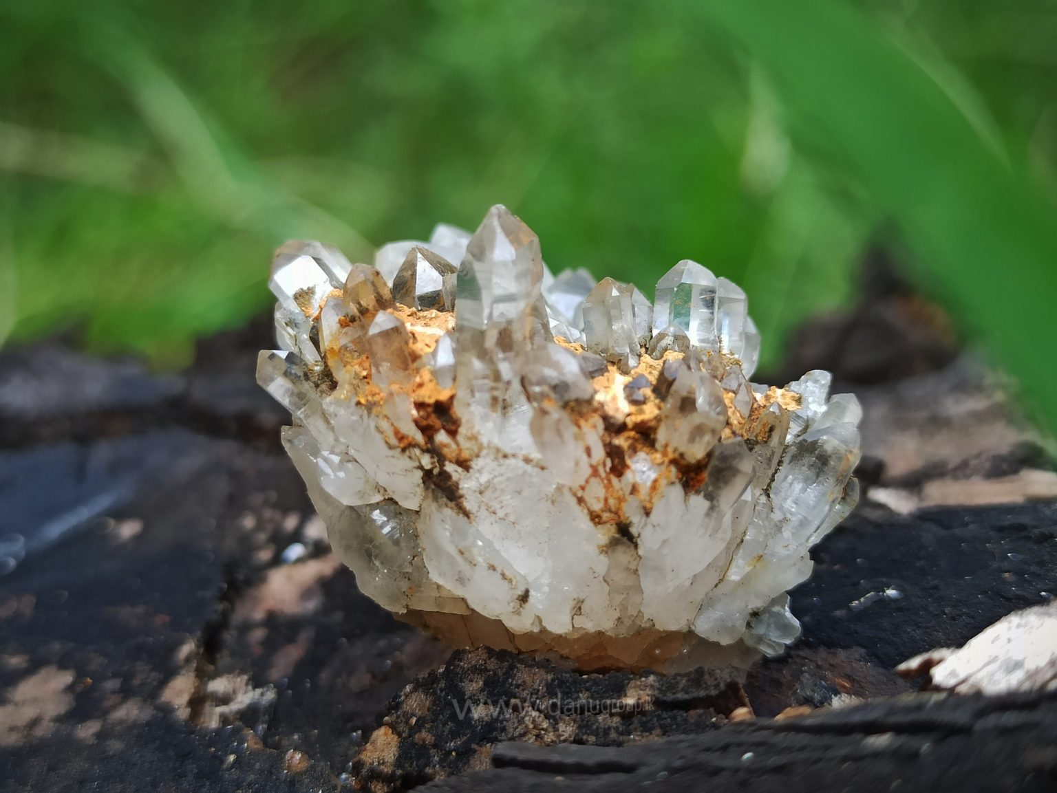 danugroup.lk - ceylon Natural Quartz Cluster fresh from the mining