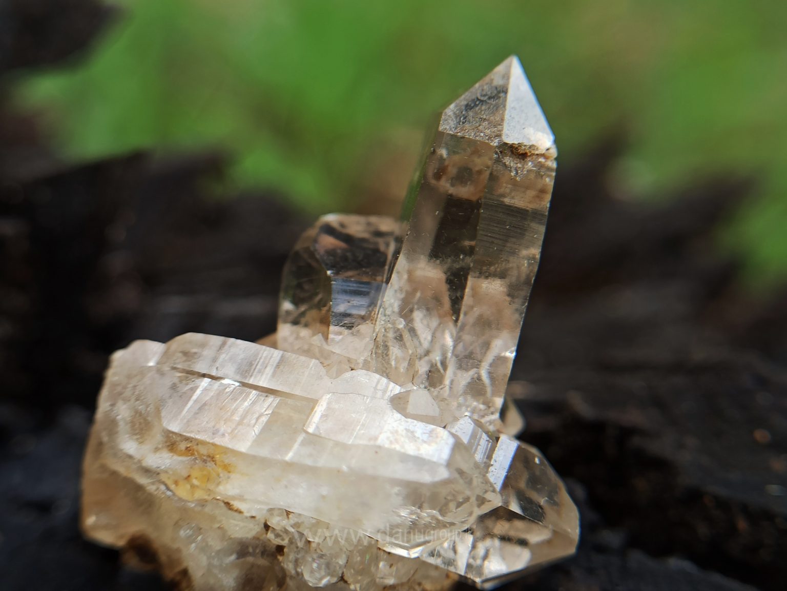 Ceylon Natural Quartz Crystal Cluster danugroup.lk