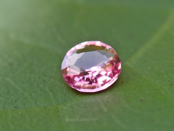 Ceylon Pink Sapphire Gemstones Lot danugroup.lk