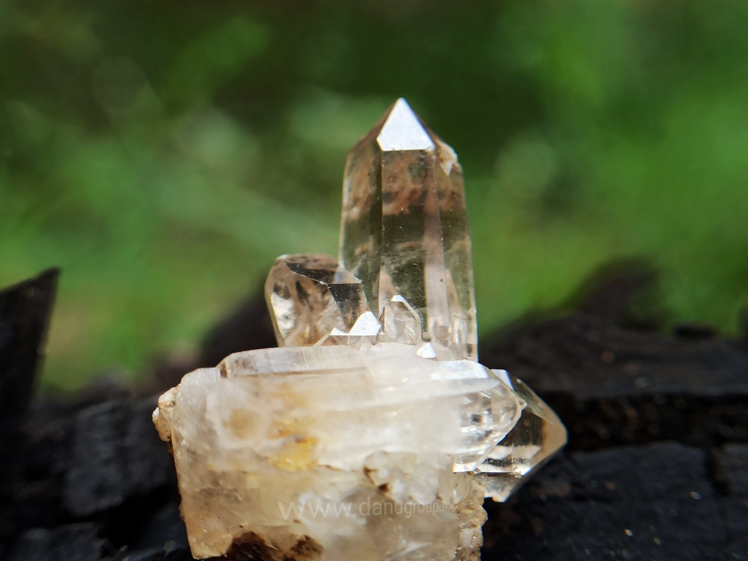 Ceylon Natural Quartz Crystal Cluster danugroup.lk