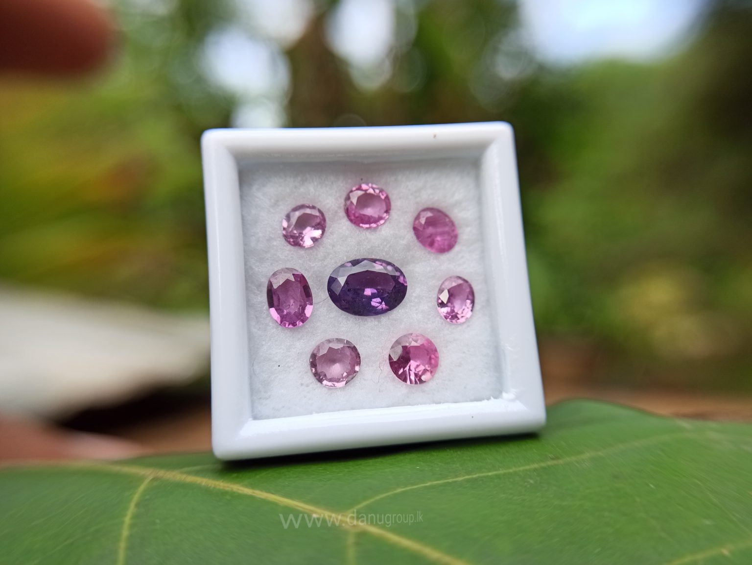 Ceylon Pink Sapphire Gemstones Lot danugroup.lk