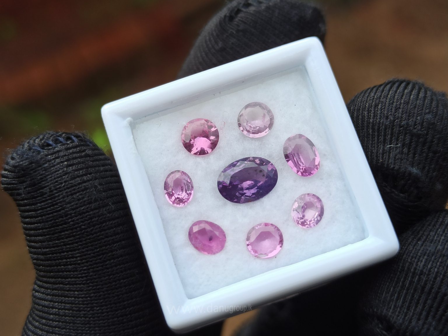 Ceylon Pink Sapphire Gemstones Lot danugroup.lk