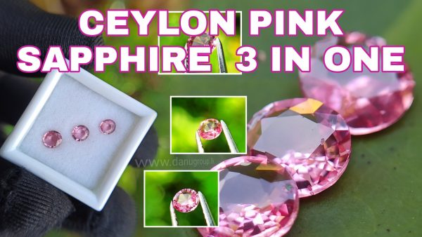 Ceylon Pink Sapphire Gemstones Lot danugroup.lk