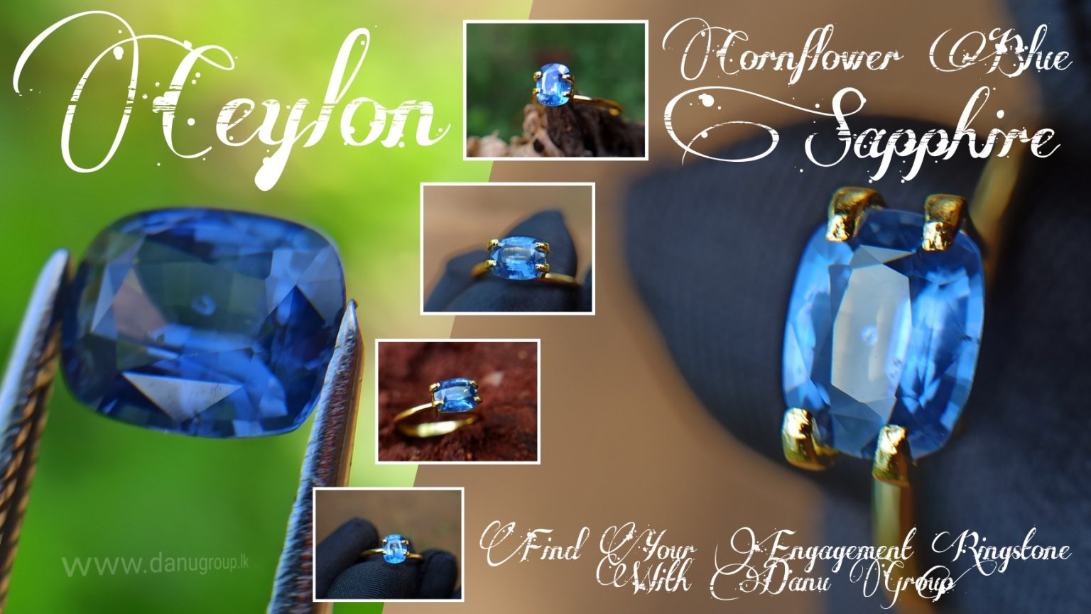 danugroup.lk - ceylon natural cornflower blue sapphire engagement ring stone
