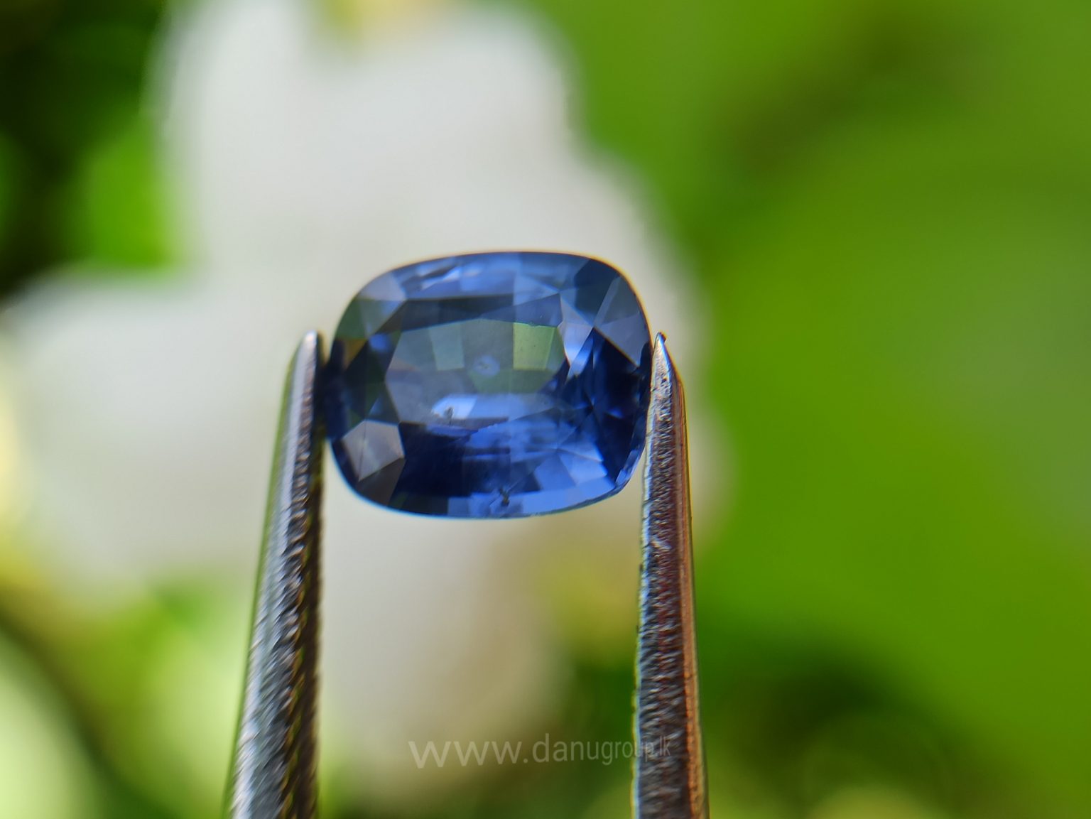 danugroup.lk - ceylon natural cornflower blue sapphire engagement ring stone