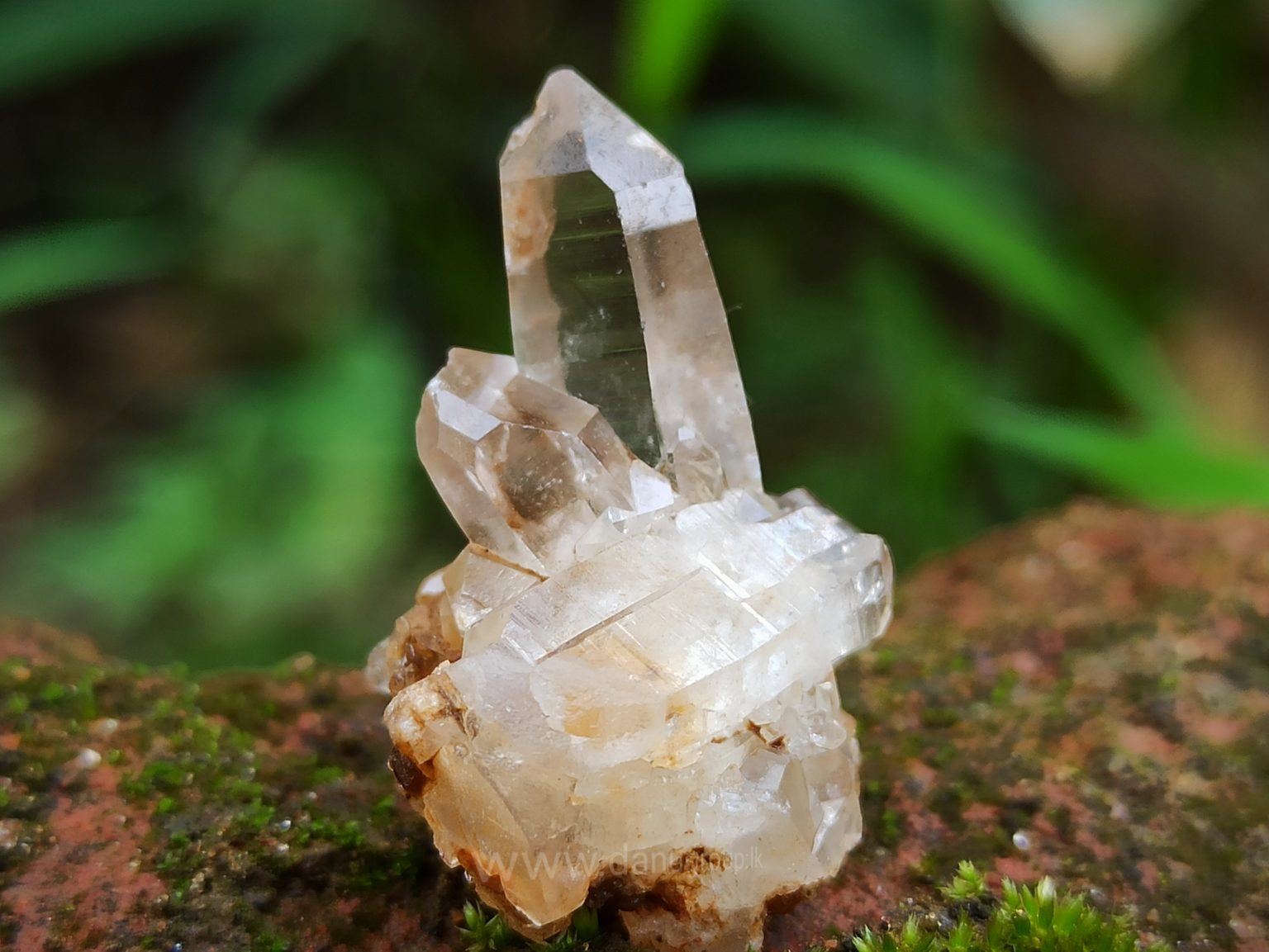 Ceylon Natural Quartz Crystal Cluster danugroup.lk