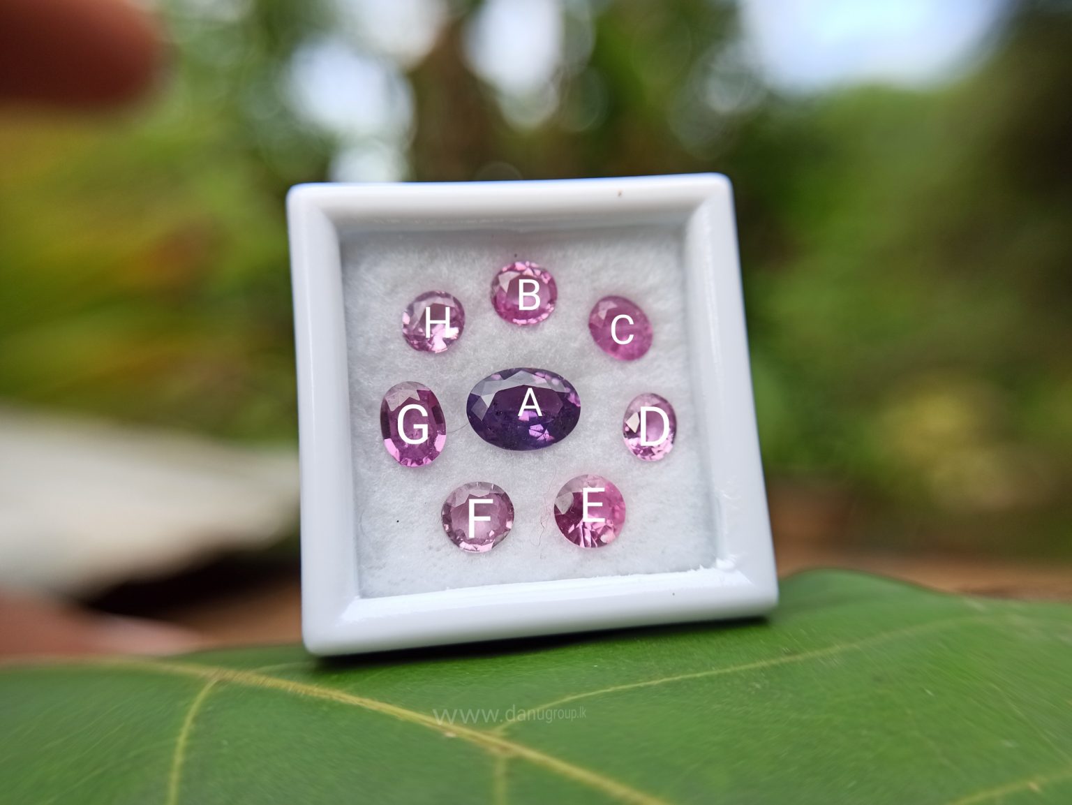 Ceylon Pink Sapphire Gemstones Lot danugroup.lk