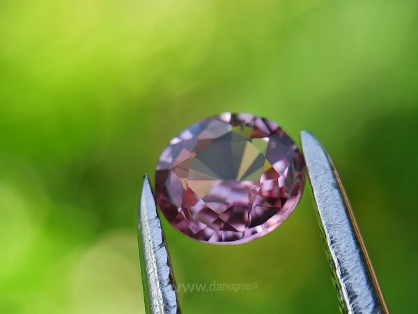 Ceylon Pink Sapphire Gemstones Lot danugroup.lk