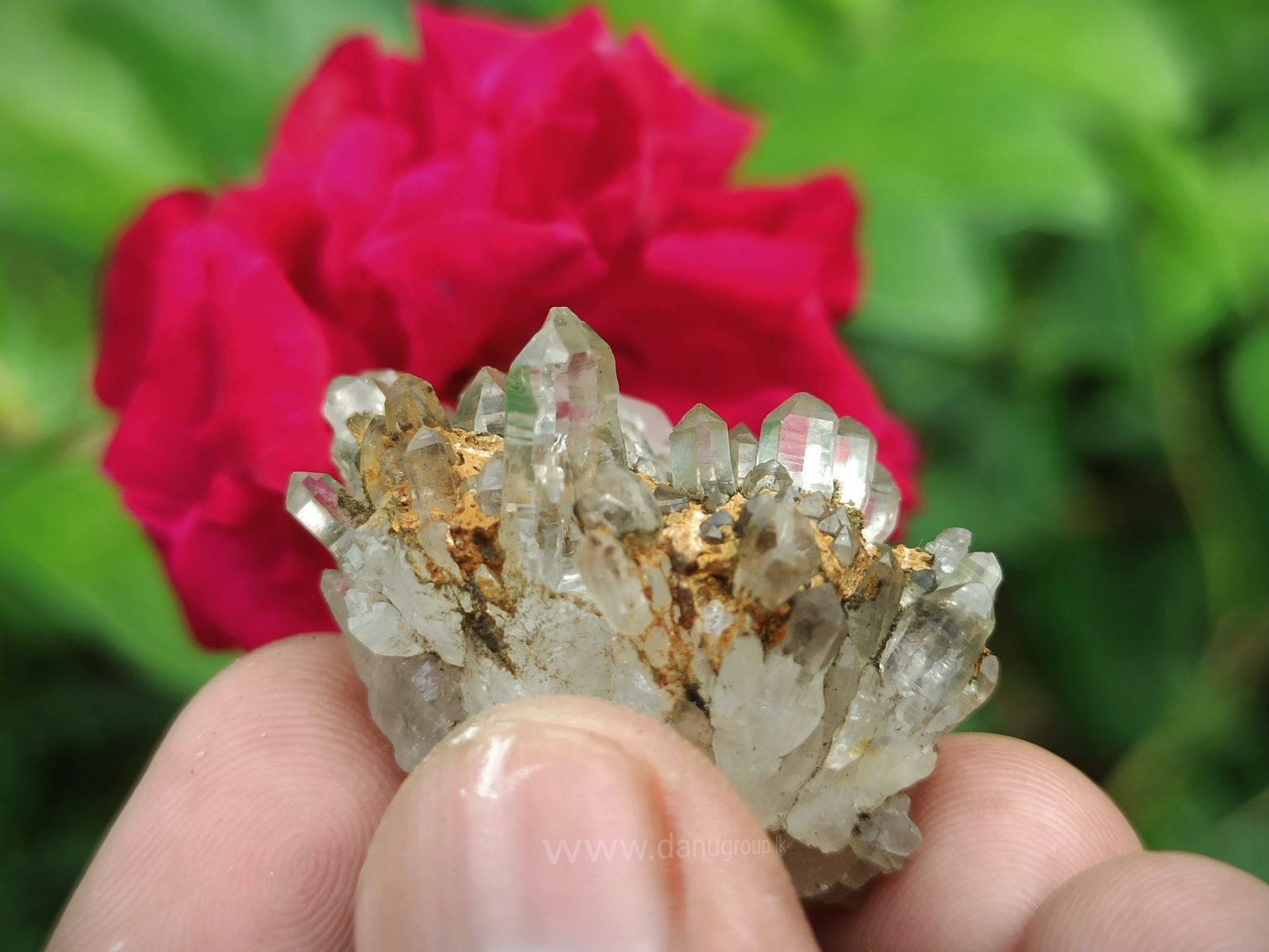 danugroup.lk - ceylon Natural Quartz Cluster fresh from the mining