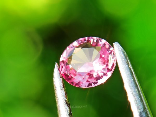 Ceylon Pink Sapphire Gemstones Lot danugroup.lk