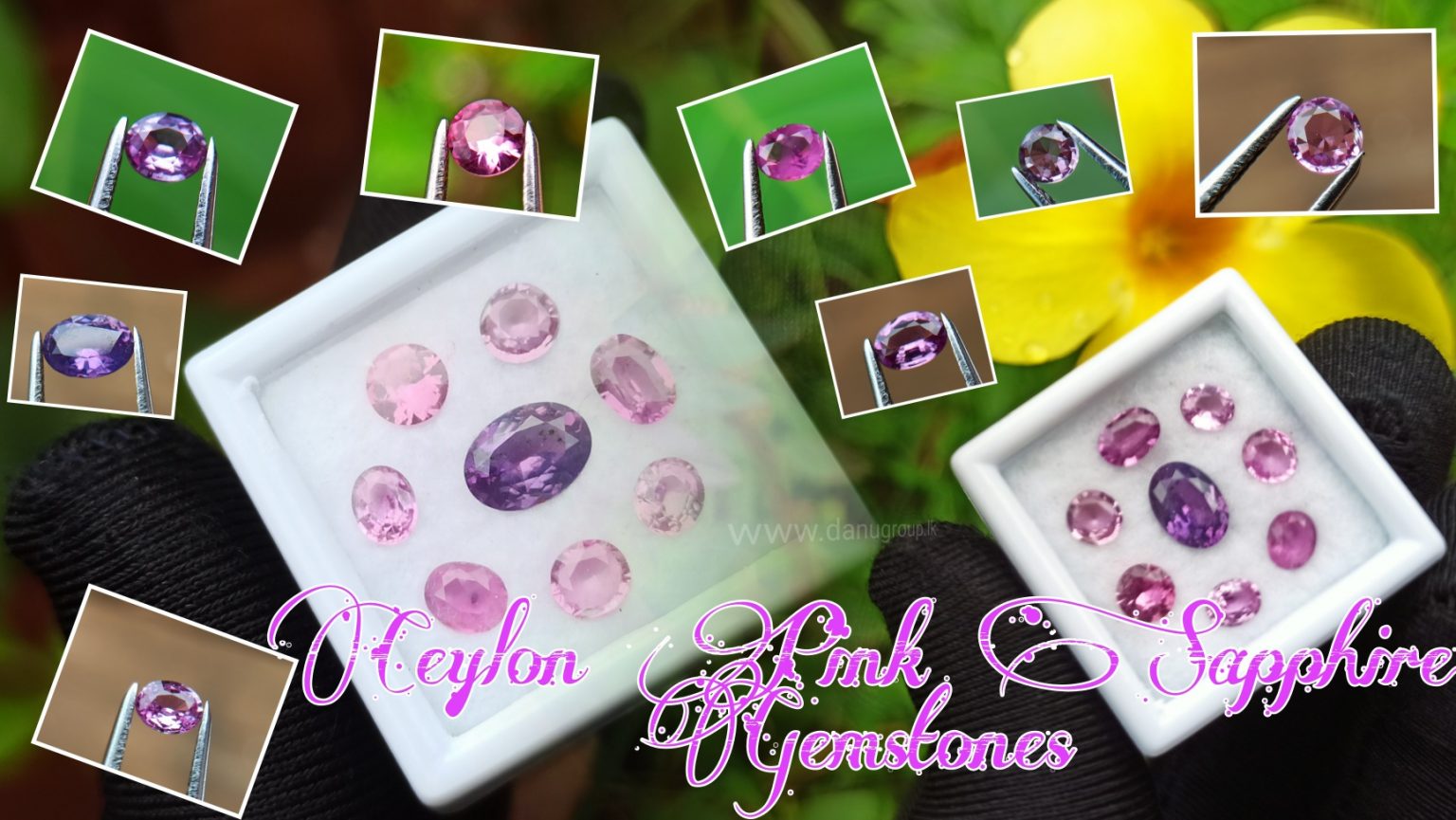 Ceylon Pink Sapphire Gemstones Lot danugroup.lk