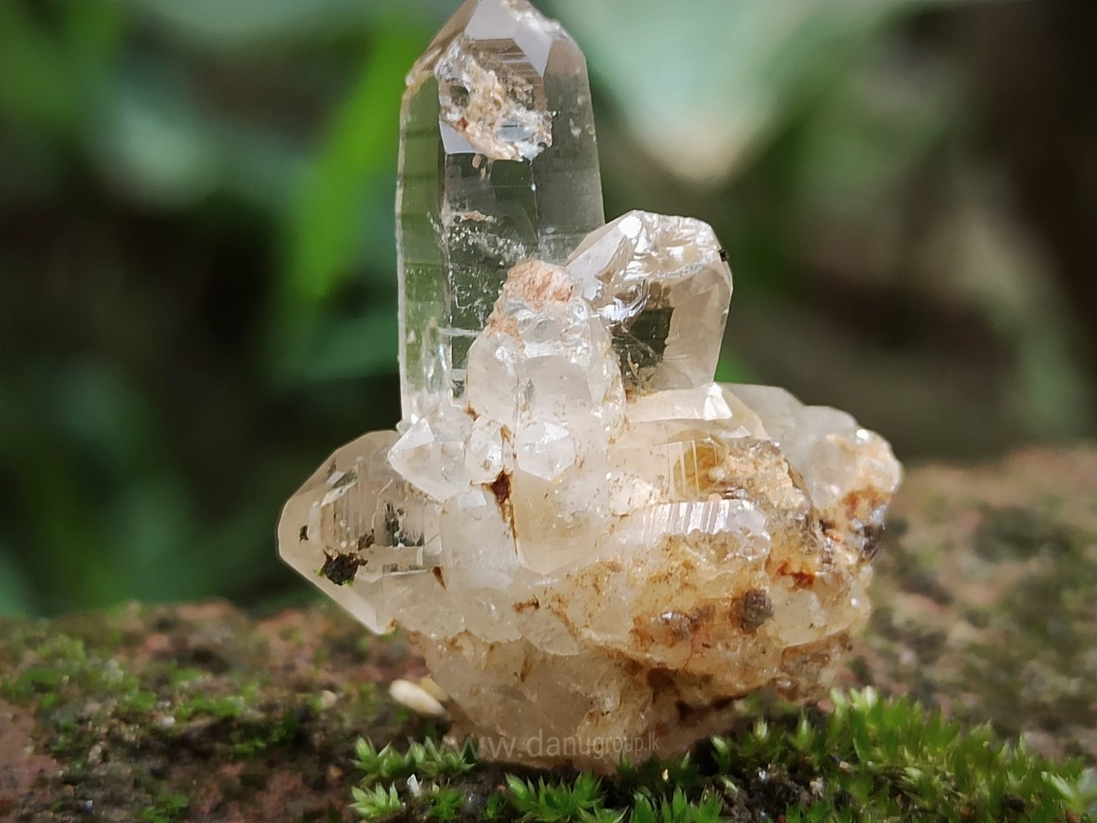 Ceylon Natural Quartz Crystal Cluster danugroup.lk