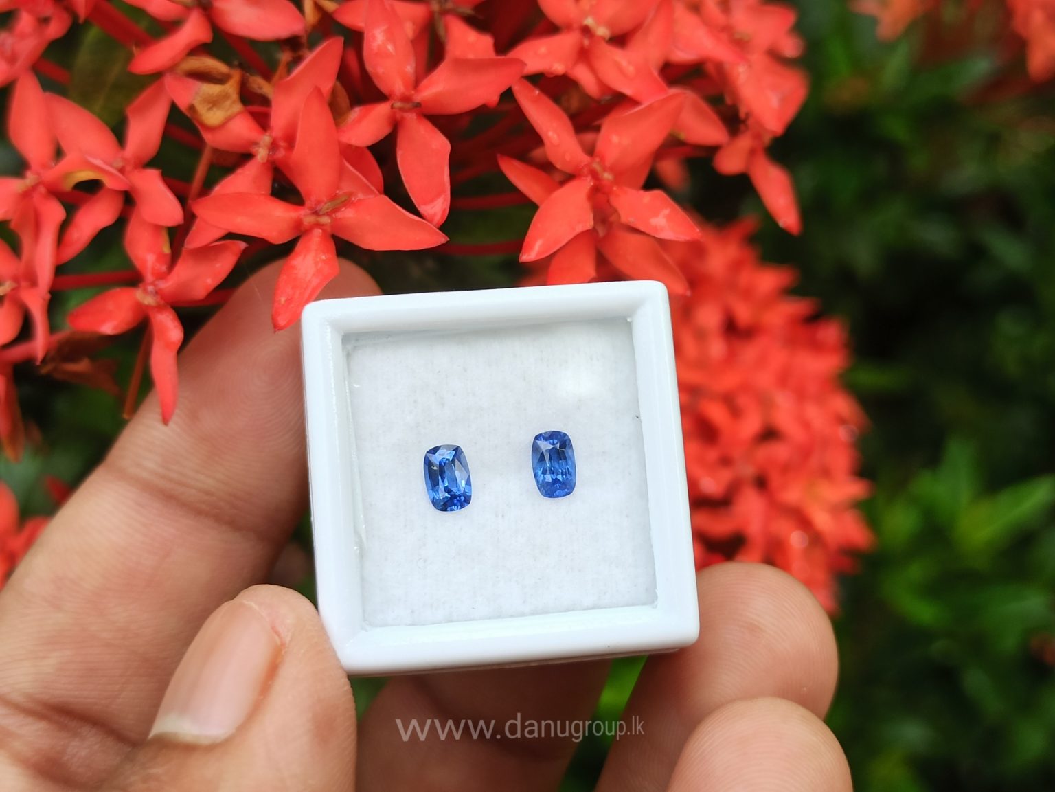Ceylon Natural Cornflower Blue Sapphire Pair Danu Group Gemstones pair