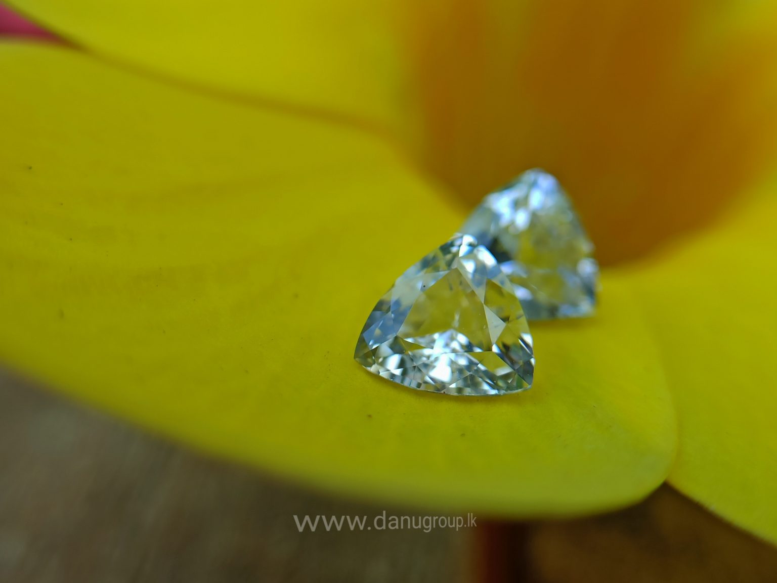 Ceylon Natural Fancy Sapphire Triangular Shape Couple Light Yellow and white sapphire from Danu Group Gemstones Collection