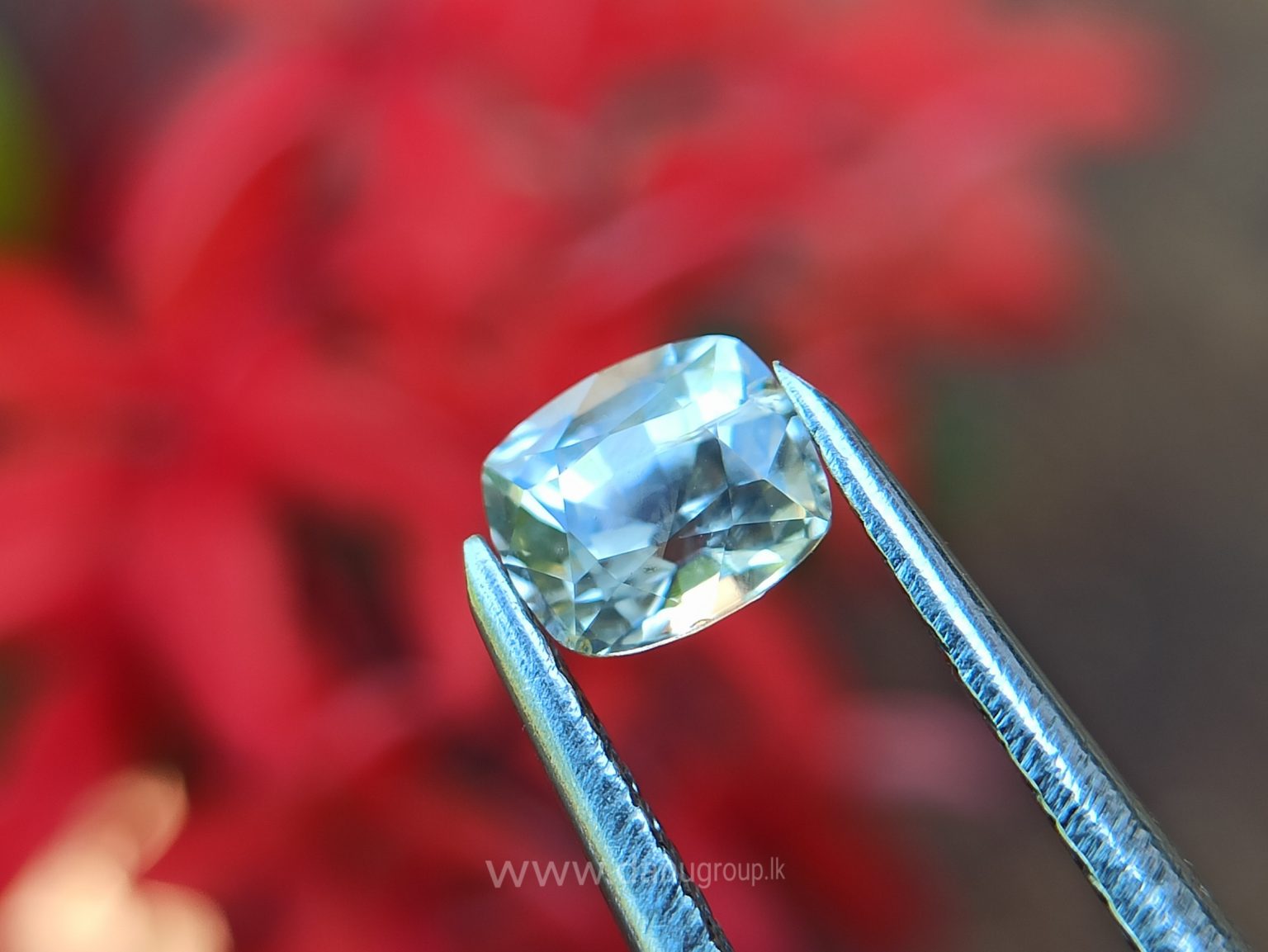 Ceylon Natural Yellow Sapphire Cushion shape Couple Danu Group Gemstones Collection
