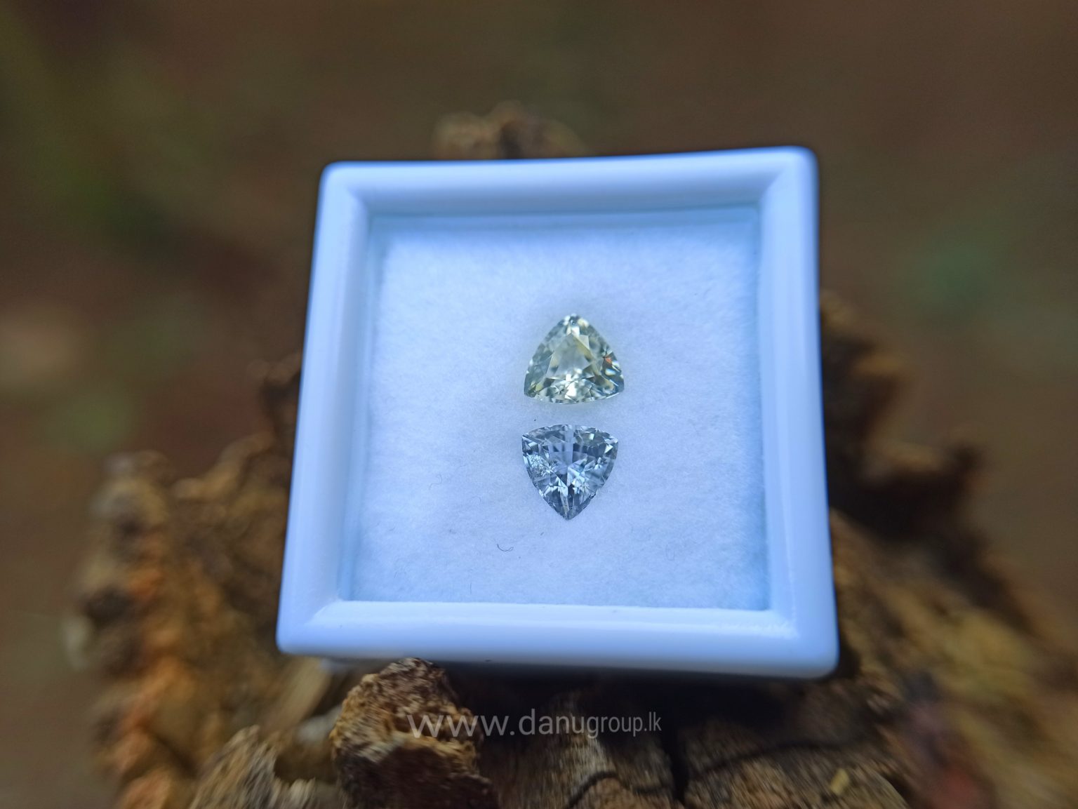 Ceylon Natural Fancy Sapphire Triangular Shape Couple Light Yellow and white sapphire from Danu Group Gemstones Collection