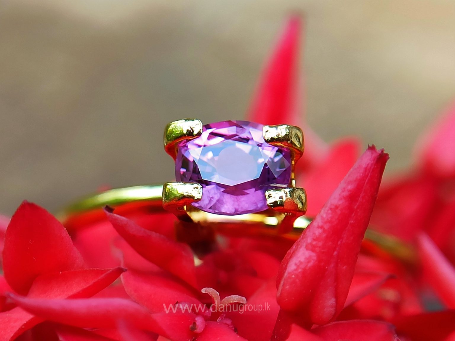 Ceylon Natural Pink Sapphire Danu Group Gemstones Collection