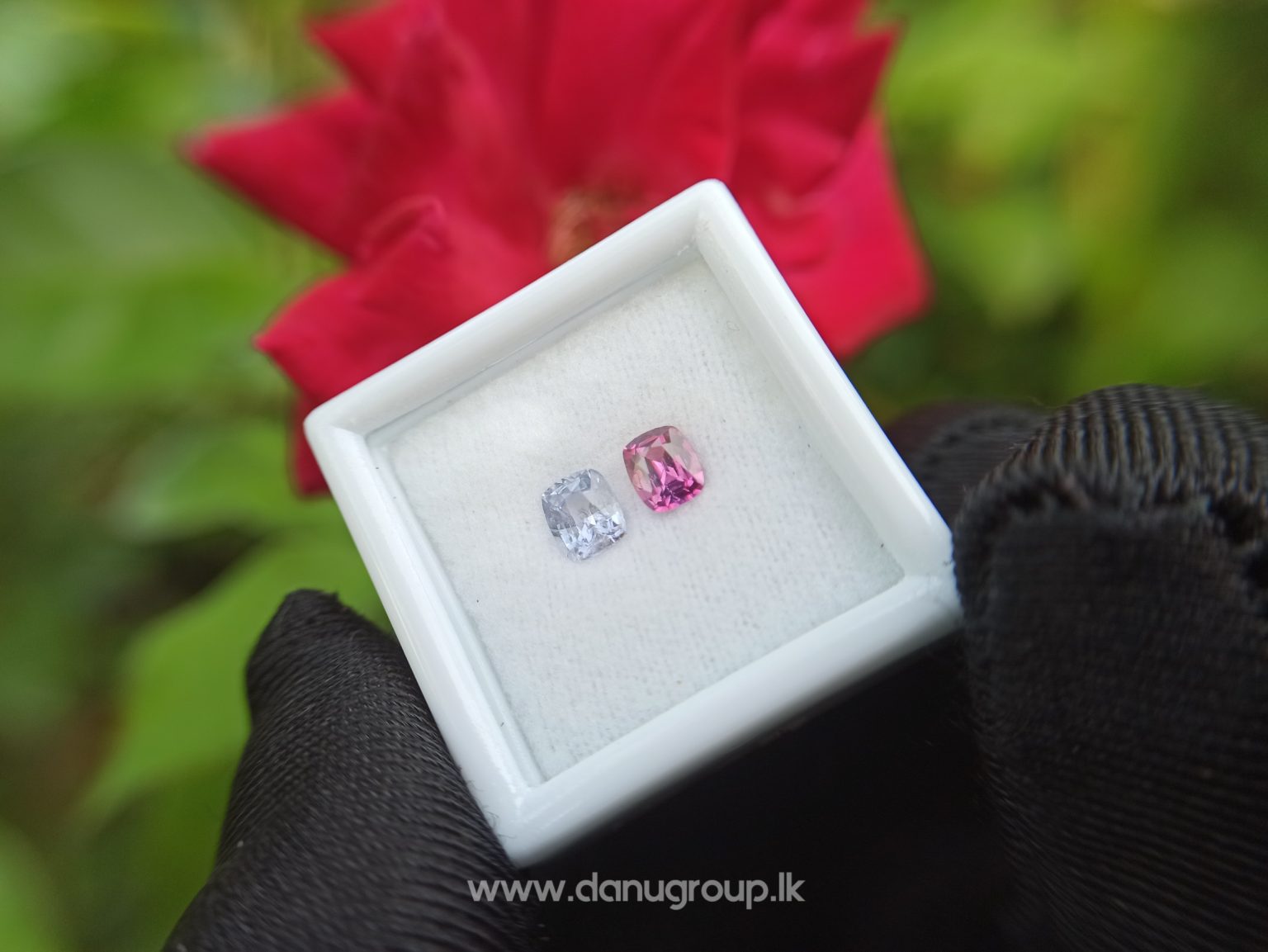 Ceylon Natural Violet and pink sapphire , fancy sapphire couple danu group Gemstones