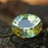 Ceylon Natural Yellow Sapphire Oval Shape - Danu Group Gemstones Collection
