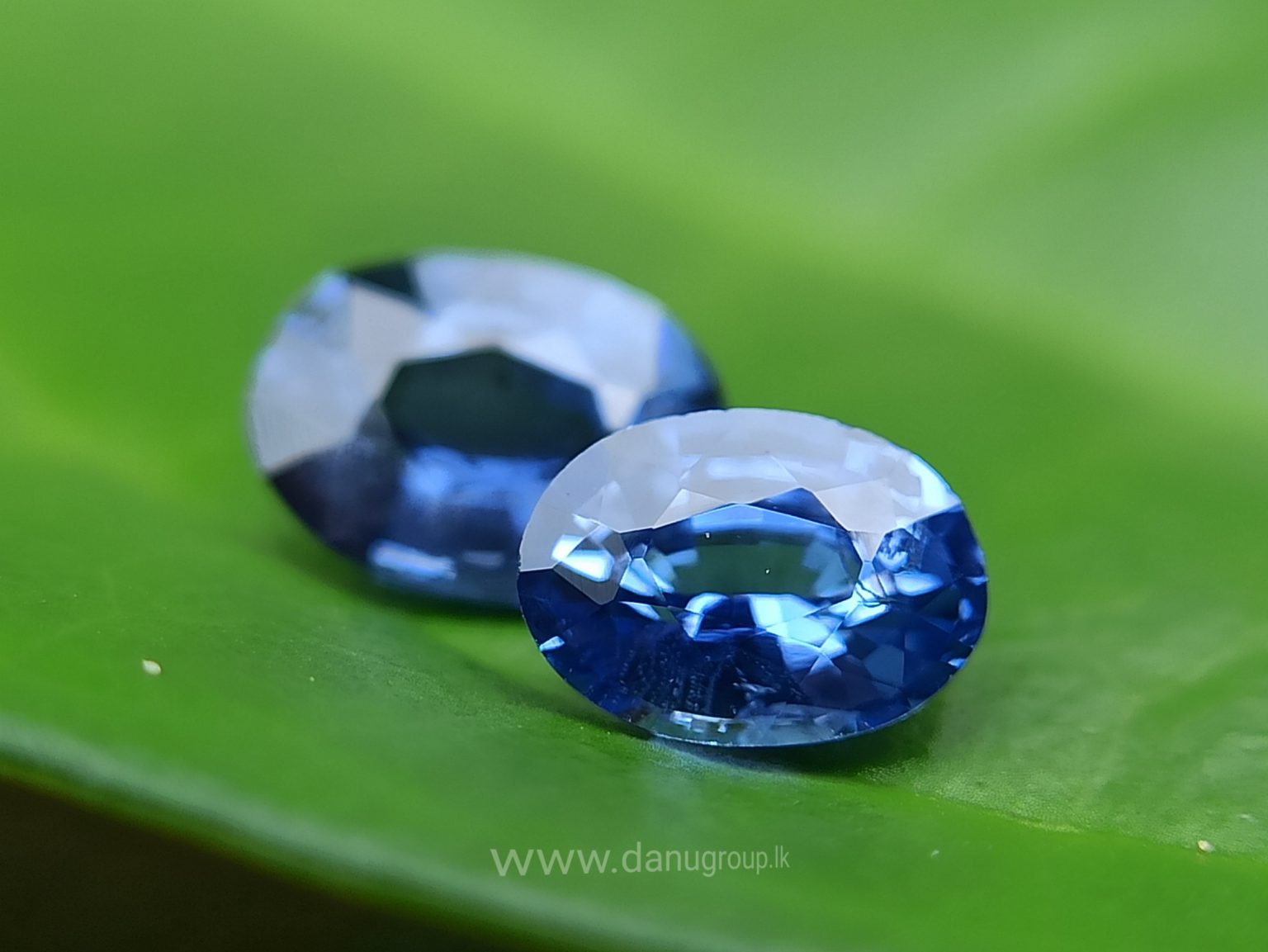 Ceylon Blue Sapphire Couple - Danu Group Gemstones