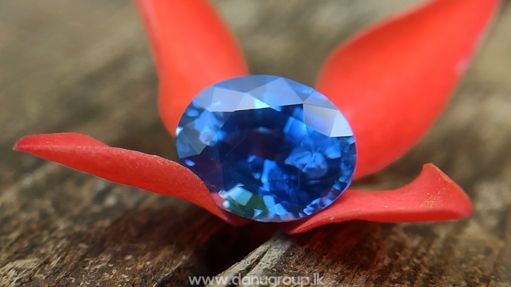 danugroup.lk - Ceylon Natural Cornflower Blue Sapphire Danu Group Gemstones Collections