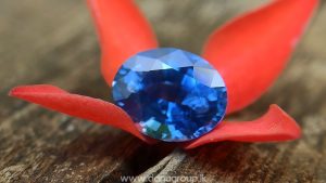 danugroup.lk - Ceylon Natural Cornflower Blue Sapphire Danu Group Gemstones Collections