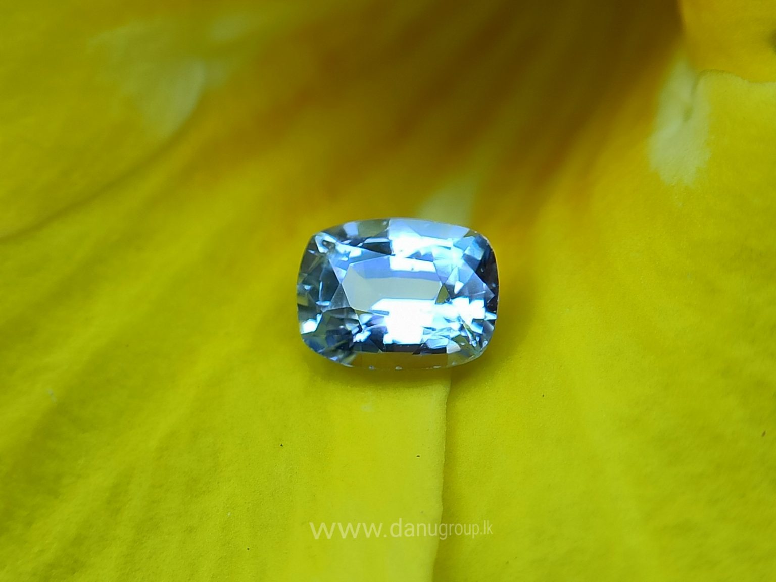 Ceylon Natural Light Blue Sapphire Pair for earrings - Danu Group Gemstones Collections