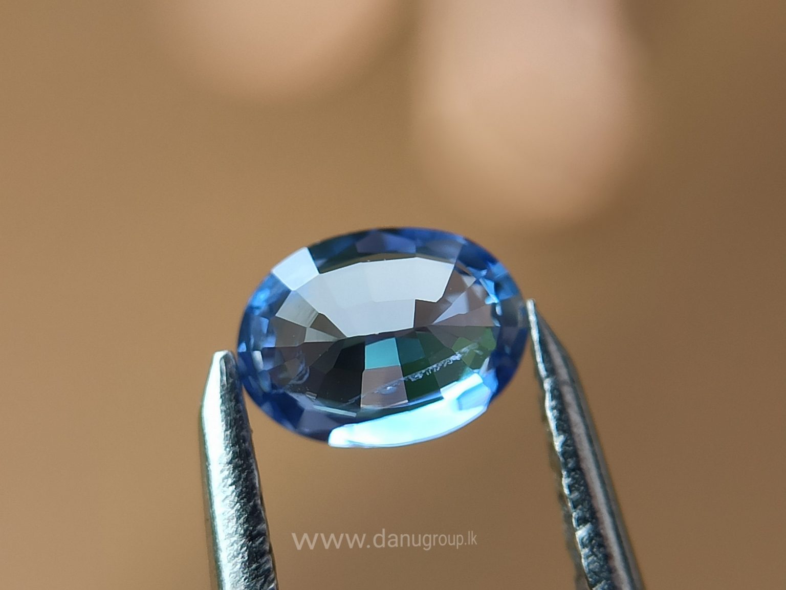 Ceylon Blue Sapphire Couple - Danu Group Gemstones