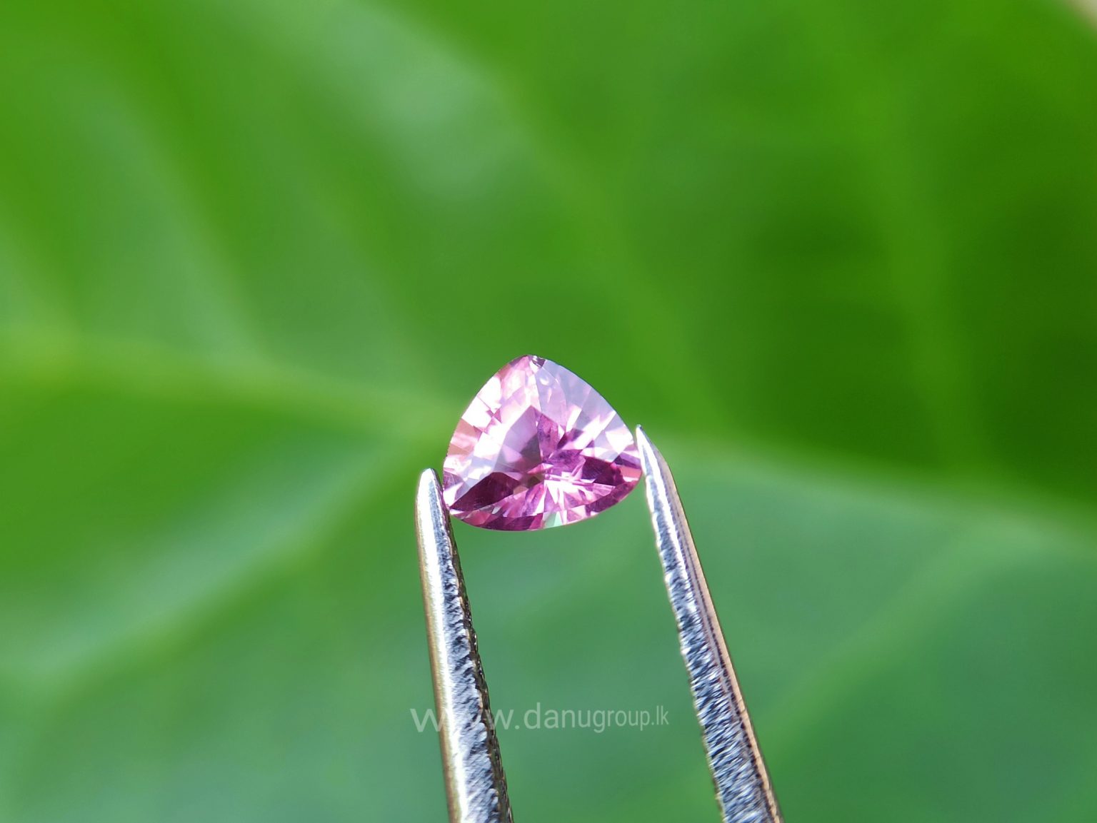 danugroup.lk - Ceylon Natural Blue and pink sapphire couple Danu Group Gemstones