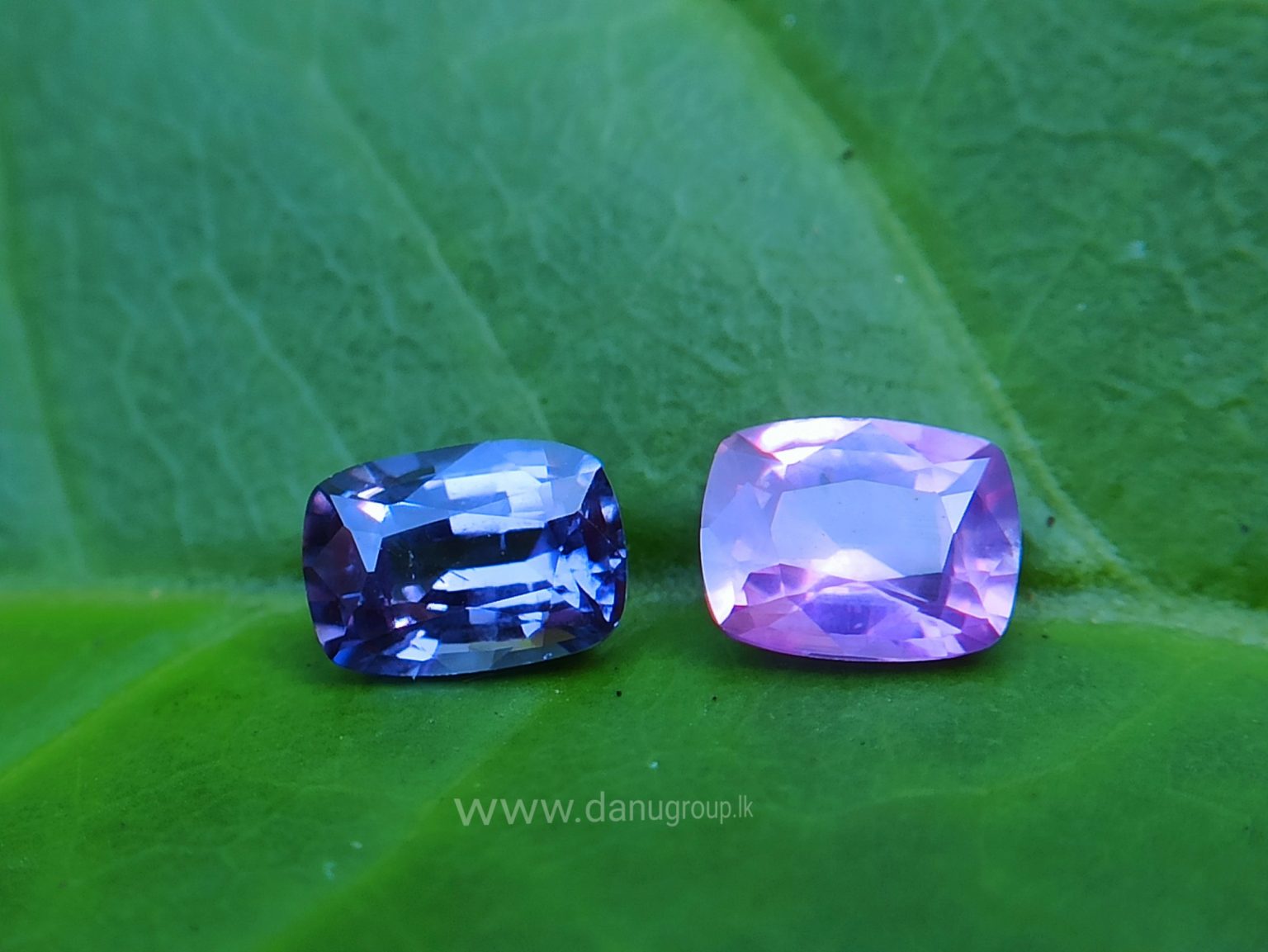 danugroup.lk - ceylon natural Violet Sapphire and pink sapphire Couple danu group Gemstones