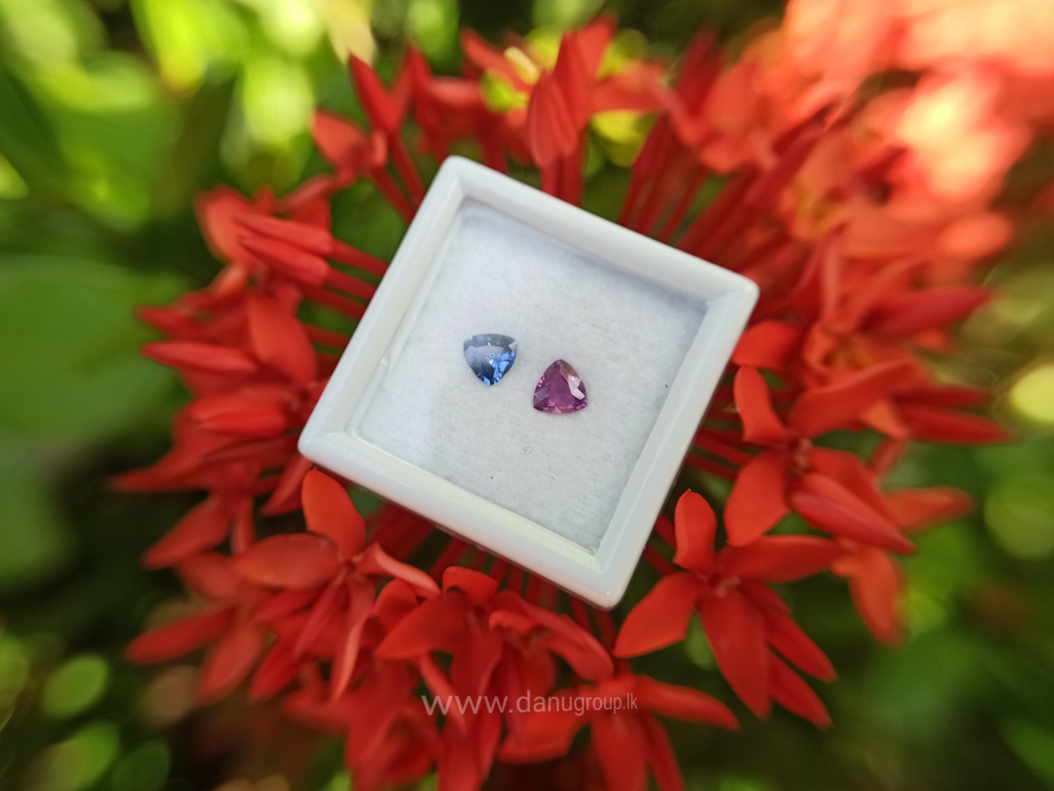 Ceylon Natural Blue & Pink Sapphire Couple - Danu Group Gemstones danugroup.lk Danu Group Gemstones